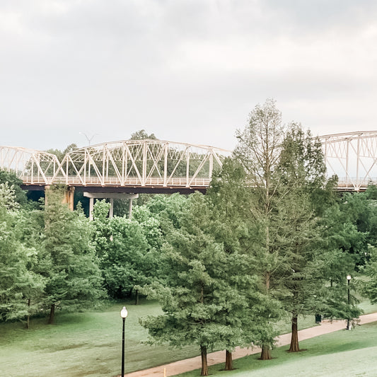 Bastrop, TX Real Estate in 2025: A Year of Growth and Opportunity