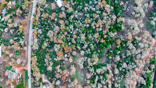 land in Bastrop TX